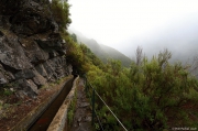 Madeira - levada Rabacal | fotografie