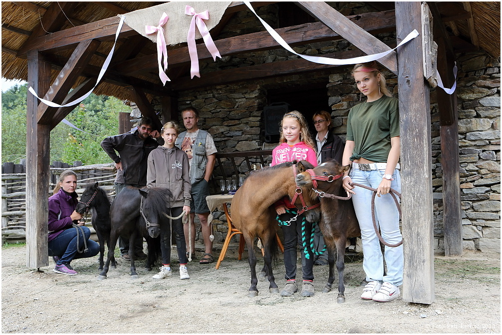 Křest mláďat poníků v jihlavské ZOO 2012