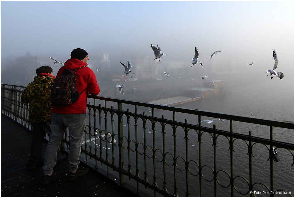 Mlha na Vltavě