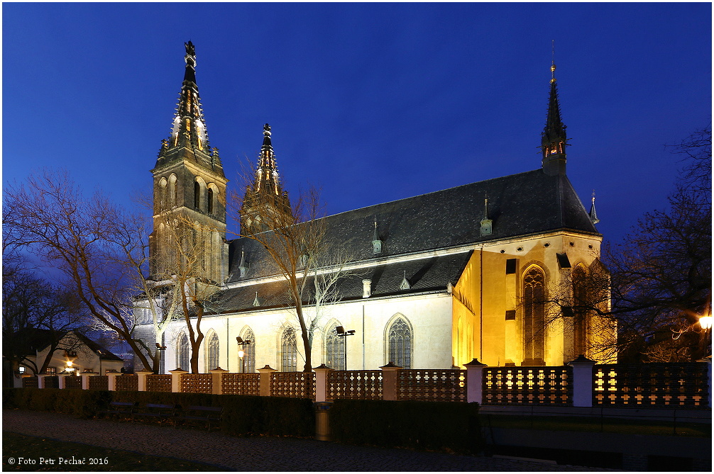 Noční Praha - bazilika svatého Petra a Pavla