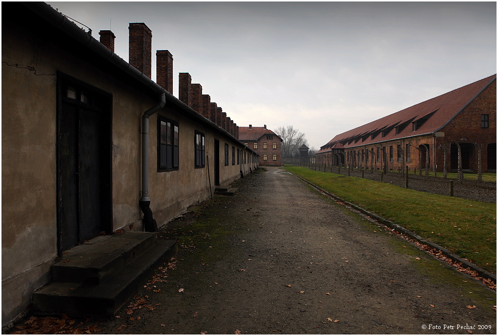 Osvětim a Birkenau