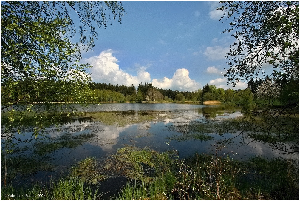 Plačkovský rybník - Pařezák