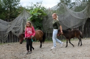 Křest mláďat poníků v jihlavské ZOO 2012 | fotografie