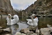 Přírodní park Prokopské a Dalejské údolí | fotografie