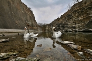 Přírodní park Prokopské a Dalejské údolí | fotografie