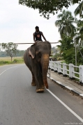 Srí Lanka | fotografie
