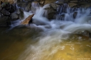 Voda - potok u Budíkovic | fotografie